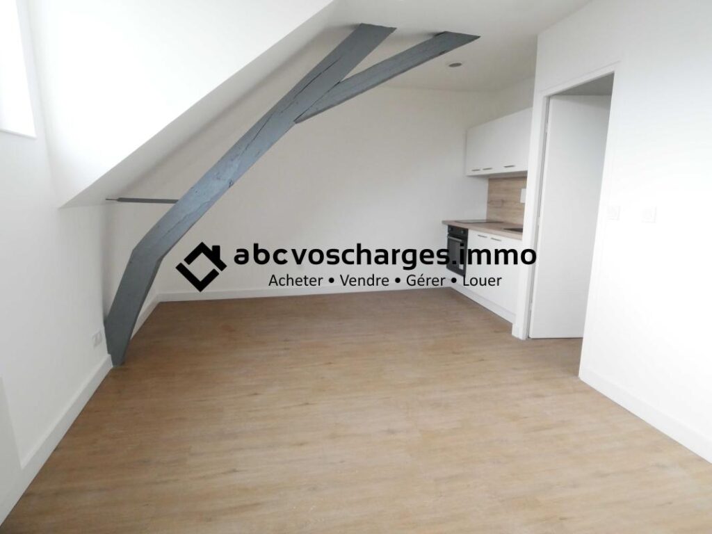 Appartement duplex en centre ville