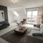 Appartement 1 chambre balcon et parking